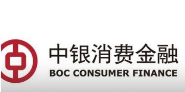 中银消费金融有限公司 专业的金融中介服务提供商