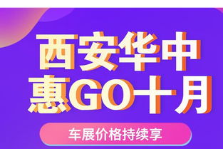 西安华中金融信息咨询 连接资本与实体的智慧桥梁